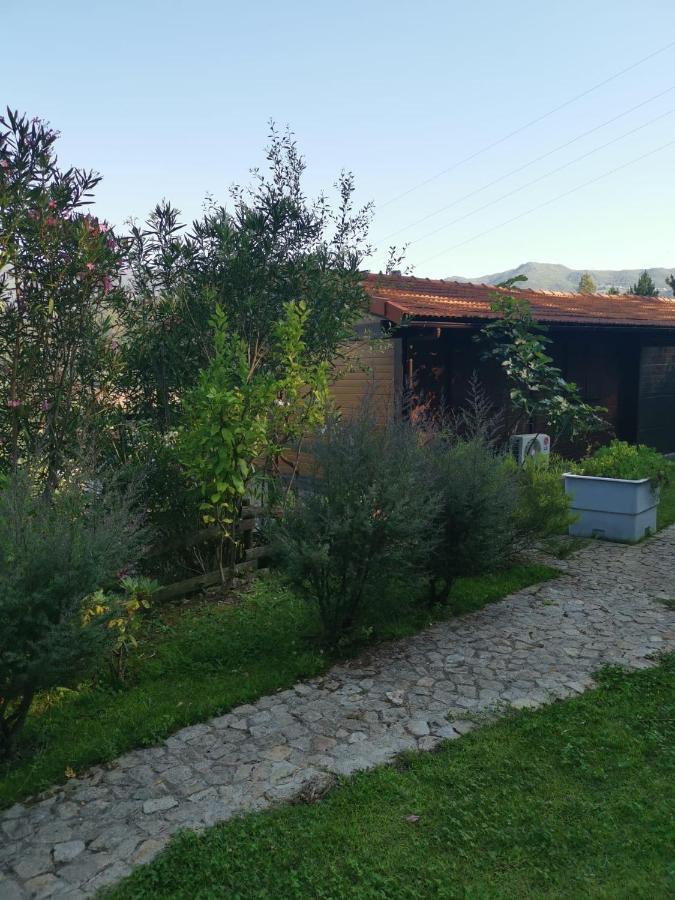 阿鲁卡Casa Do Casal公寓 外观 照片